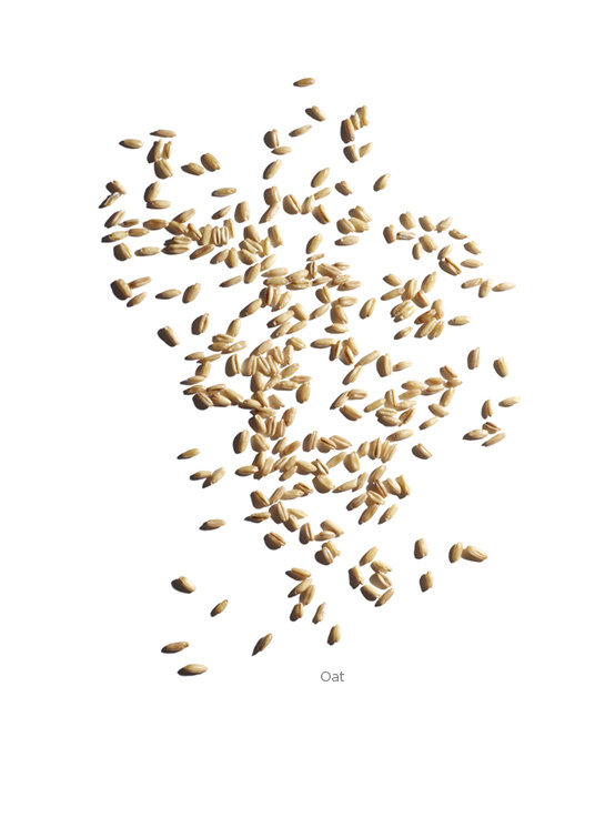 02-Basics-Back-Oat