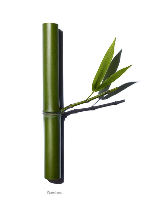 02-Basics-Back-Bamboo