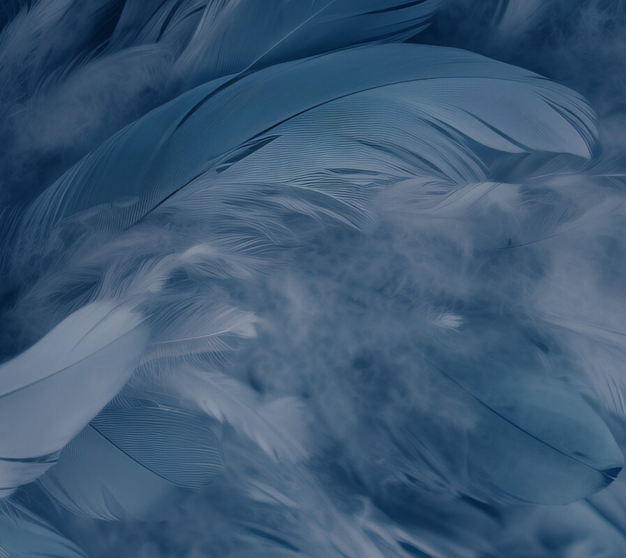 Benro_CyanBird_Feature-Background-3