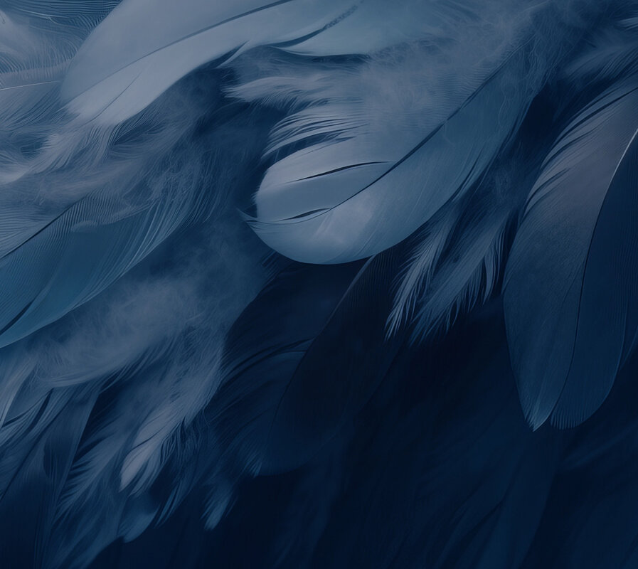 Benro_CyanBird_Feature-Background-4