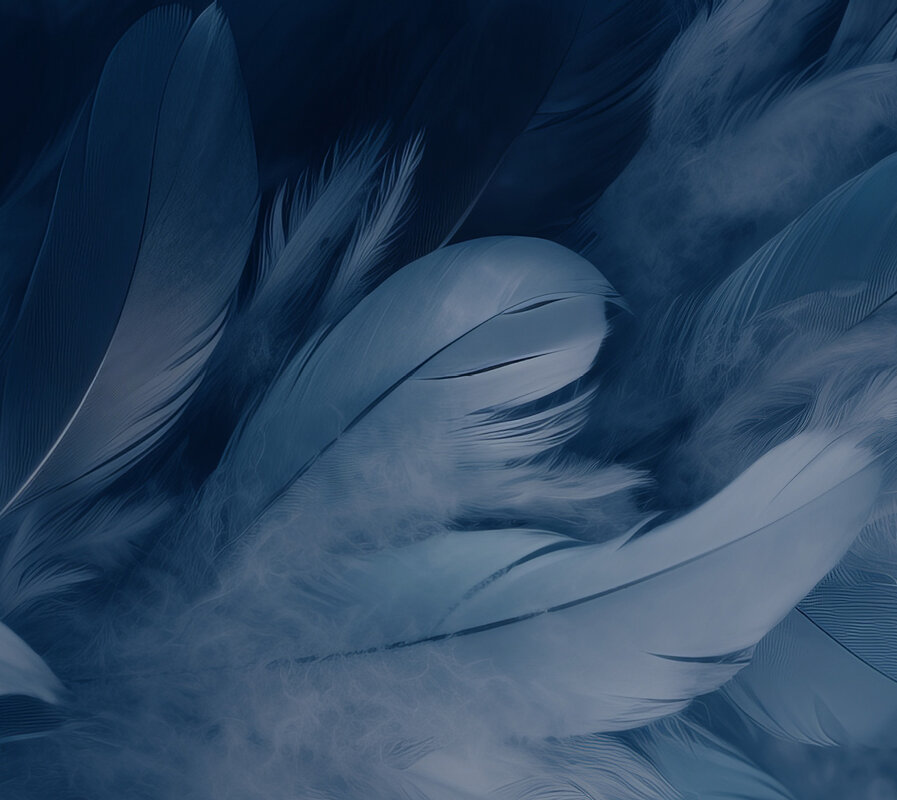 Benro_CyanBird_Feature-Background-1