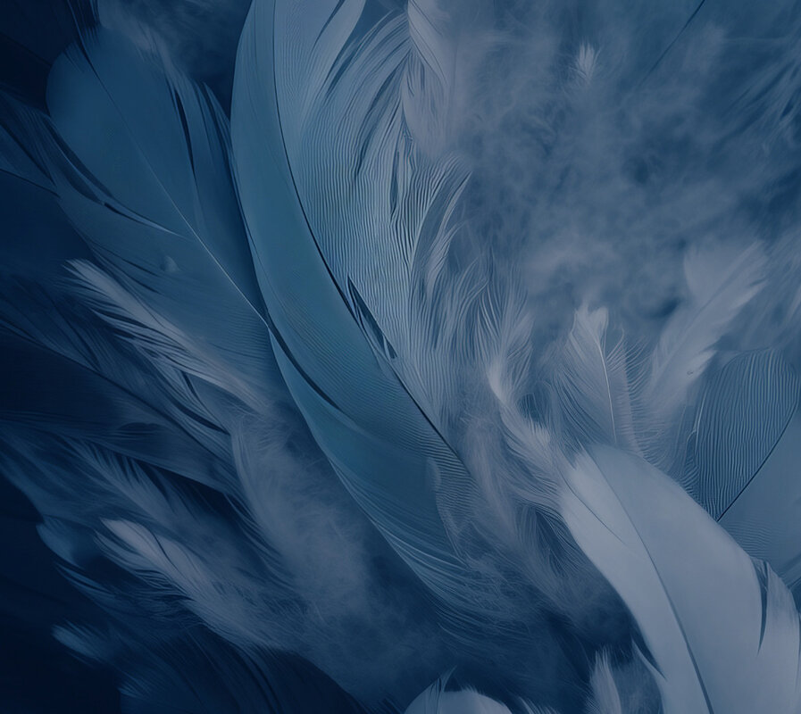 Benro_CyanBird_Feature-Background-2
