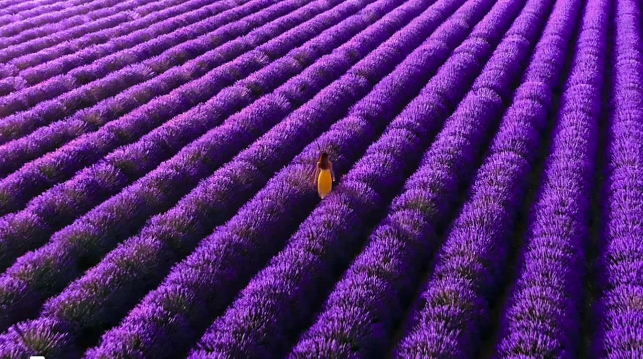 Purple Page