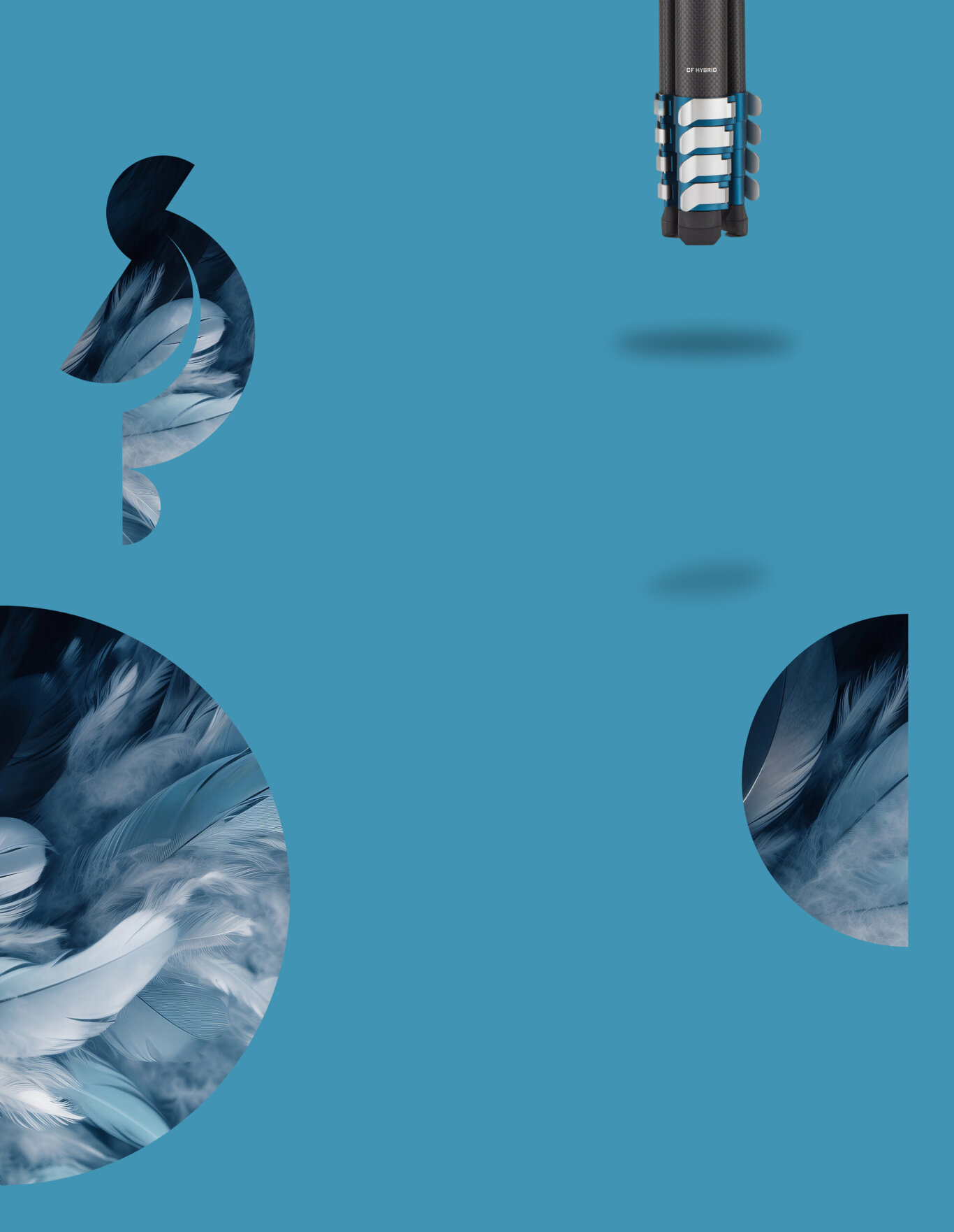 cyanbird_final_2
