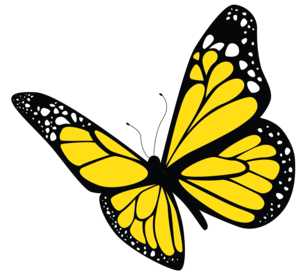 butterfly yellow Reversed